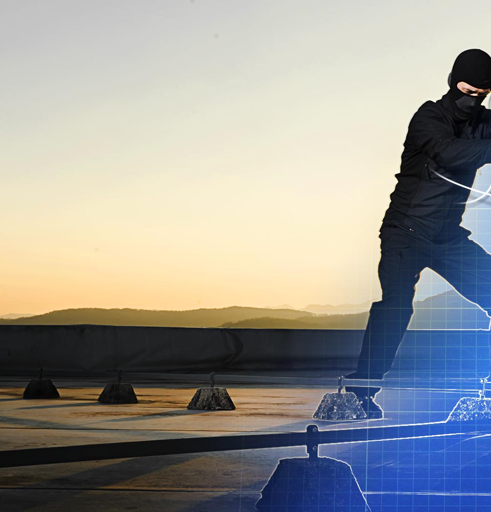 Learn handtohand combat techniques UF PRO